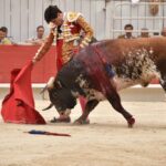 Arles, sábado 20 de abril de 2019