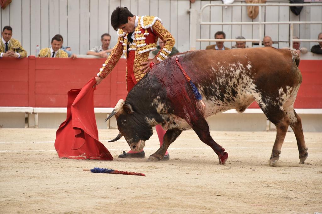 Arles, sábado 20 de abril de 2019