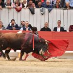 Arles, sábado 20 de abril de 2019