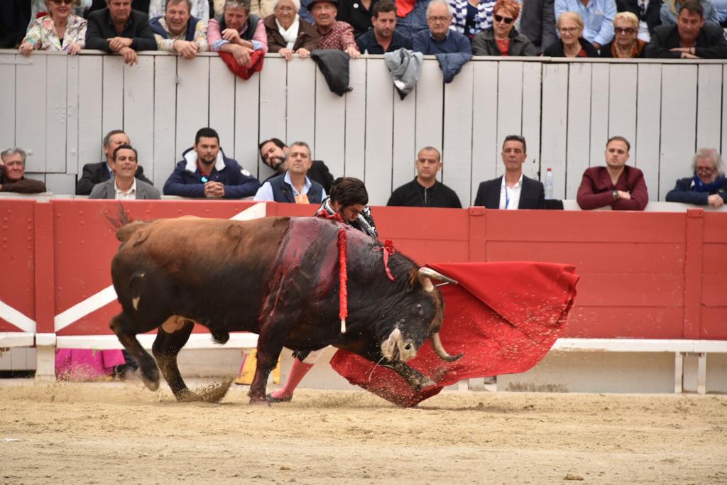 Arles, sábado 20 de abril de 2019