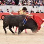 Arles, sábado 20 de abril de 2019