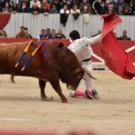 Arles, domingo 21 de abril de 2019. Feria de Pascua