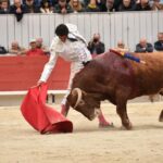 Arles, domingo 21 de abril de 2019. Feria de Pascua