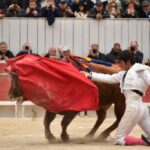 Arles, domingo 21 de abril de 2019. Feria de Pascua