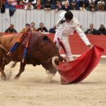 Arles, domingo 21 de abril de 2019. Feria de Pascua