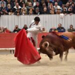 Arles, domingo 21 de abril de 2019. Feria de Pascua