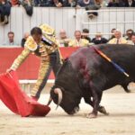 Arles, domingo 21 de abril de 2019. Feria de Pascua