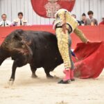 Arles, domingo 21 de abril de 2019. Feria de Pascua
