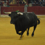 Zaragoza. Martes, 23 de abril de 2019