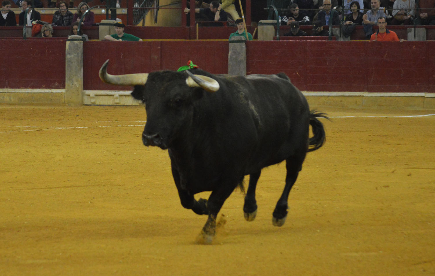 Zaragoza. Martes, 23 de abril de 2019