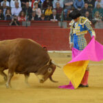 Zaragoza, 27 de abril de 2019