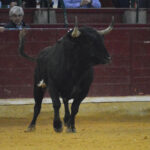 Zaragoza. Martes, 23 de abril de 2019