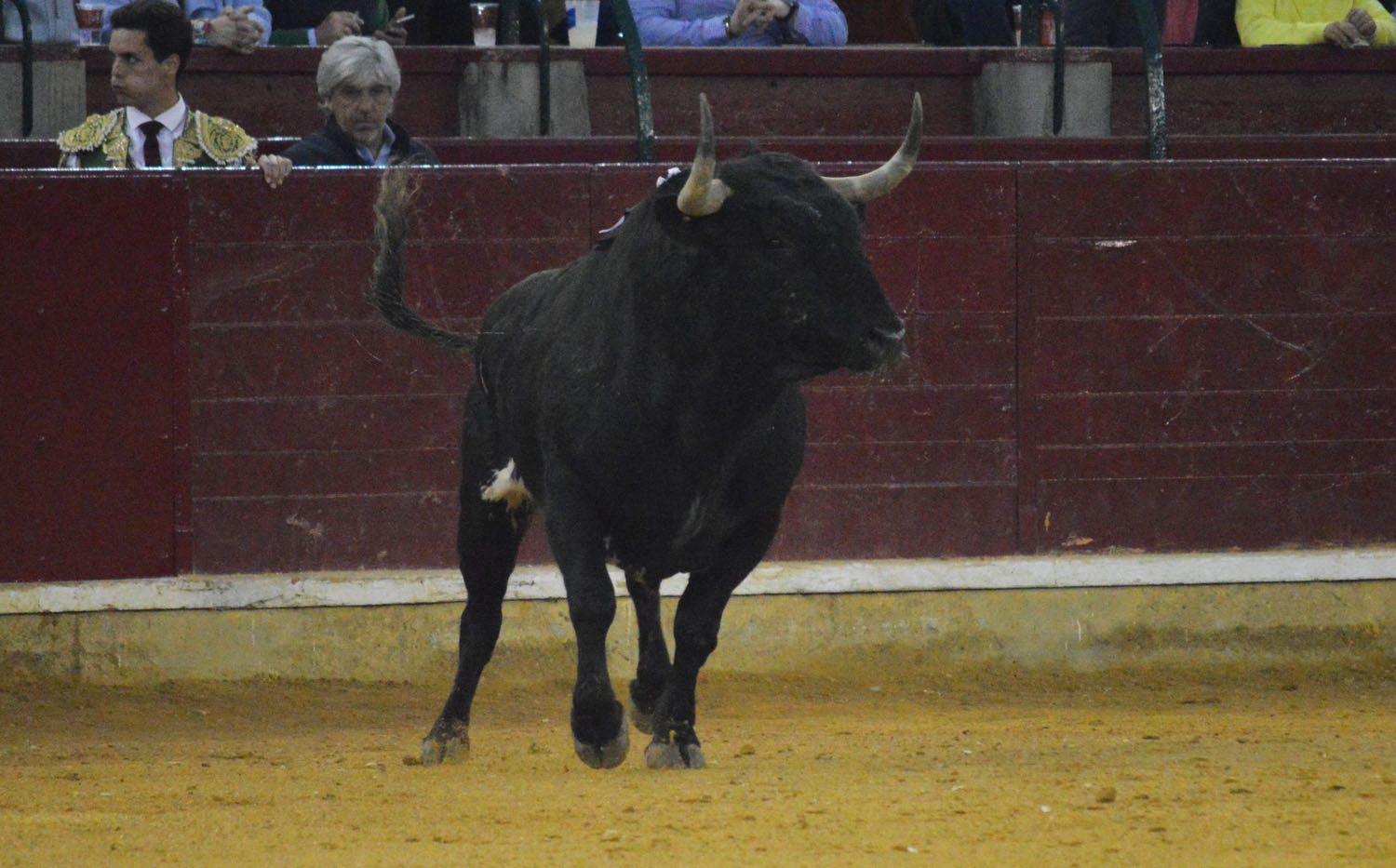 Zaragoza. Martes, 23 de abril de 2019