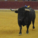 Zaragoza. Martes, 23 de abril de 2019