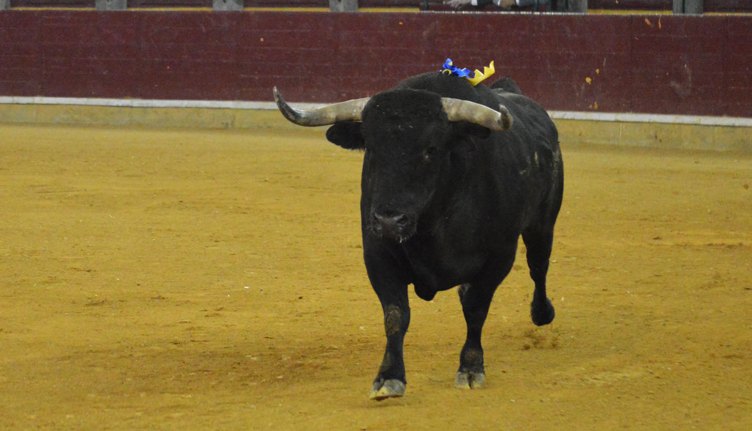 Zaragoza. Martes, 23 de abril de 2019