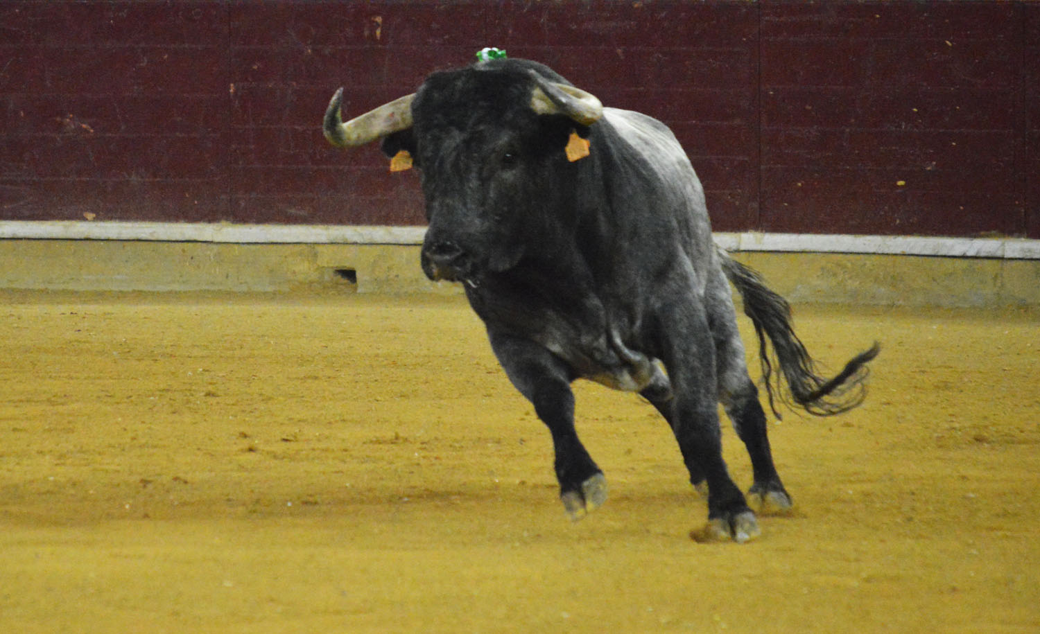 Zaragoza. Martes, 23 de abril de 2019