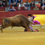 Zaragoza, 27 de abril de 2019