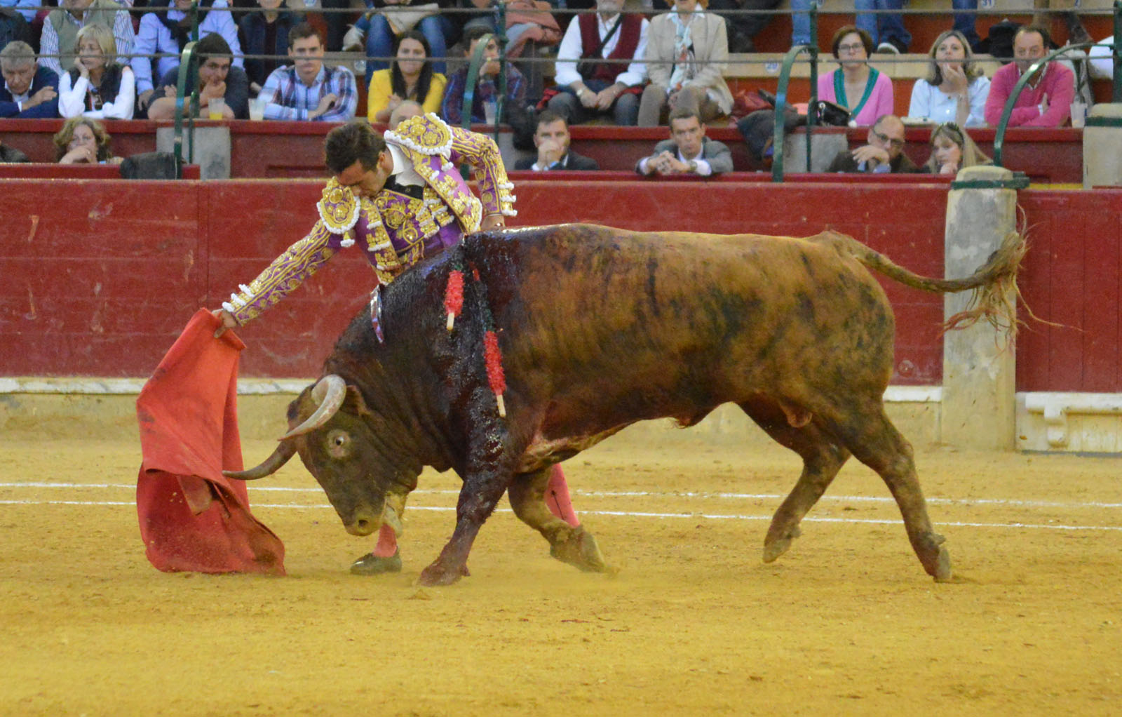 Zaragoza, 27 de abril de 2019