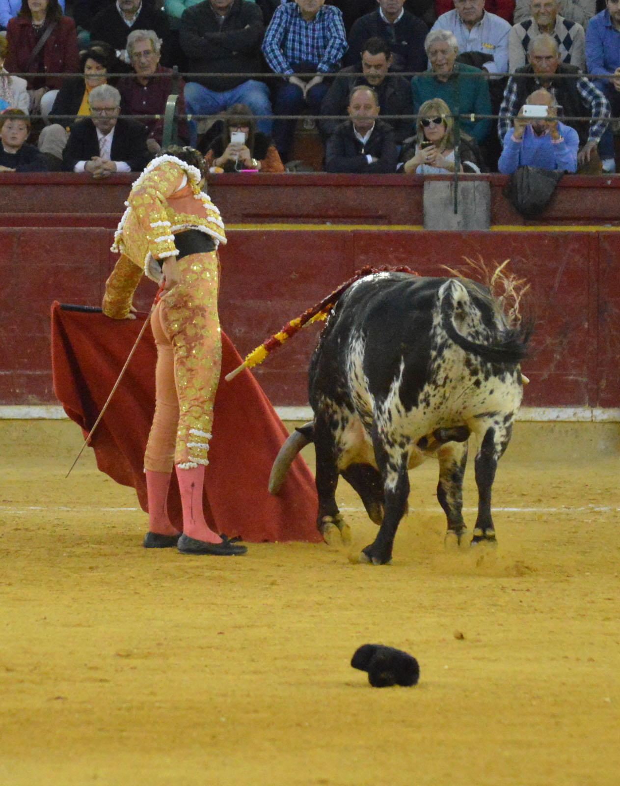 Zaragoza, 27 de abril de 2019