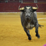 Zaragoza. Martes, 23 de abril de 2019