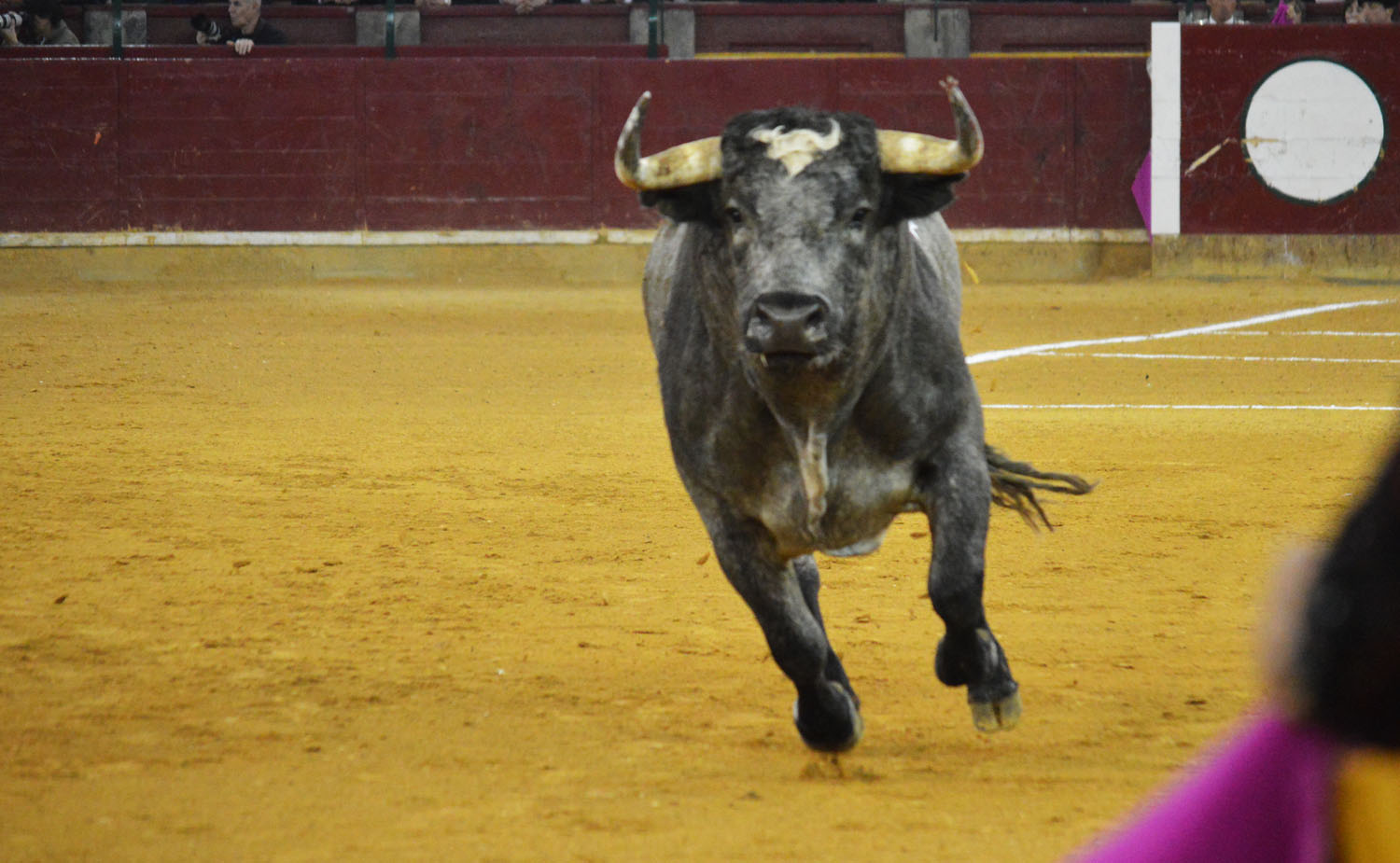 Zaragoza. Martes, 23 de abril de 2019