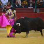 Zaragoza, 27 de abril de 2019