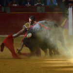 Zaragoza, 27 de abril de 2019