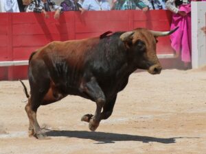 Nimes, matinal 19 de mayo de 2018