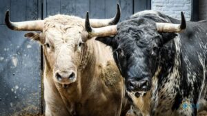 Sorteo. Madrid, domingo 21 de abril de 2019