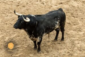 Sorteo. Sevilla, domingo 21 de abril de 2019