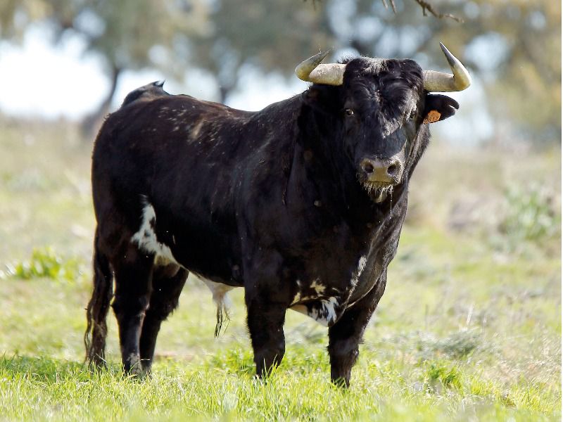 Denominación de origen