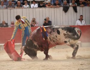 Joubert, con el toro de Torrestrella premiado con la vuelta al ruedo en el arrastre.