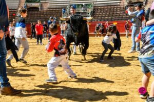 Día del Bou. Valencia, 10 de marzo de 2019