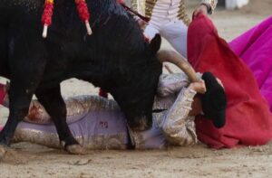 Madrid, domingo 28 de abril de 2019.