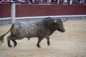 Varias alimañas de las que dieron fama a Victorino aparecieron en Las Ventas.