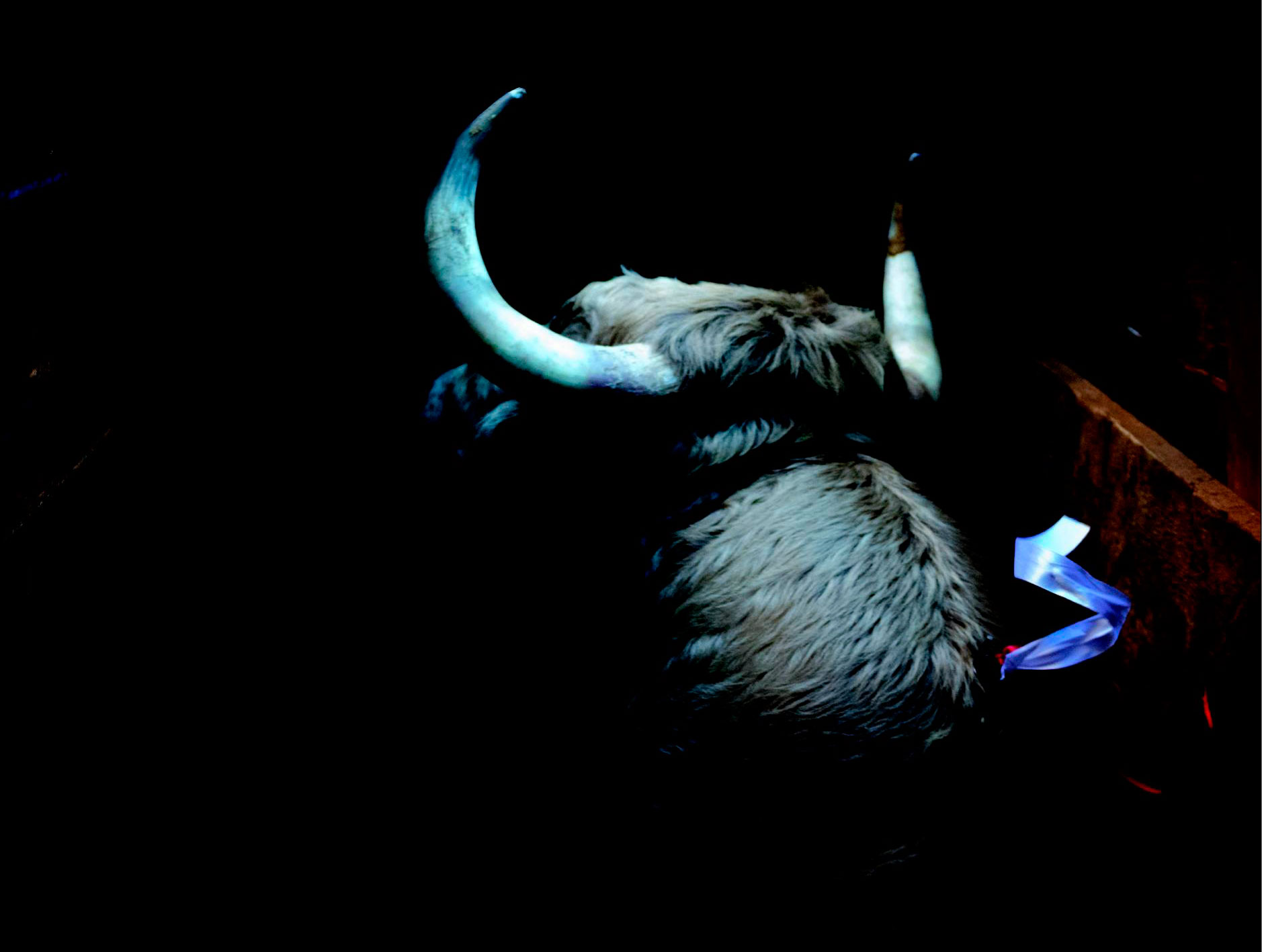 Motivo del cartel anunciador de la feria de 2018.