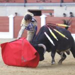 Los Barrios, domingo 19 de mayo de 2019
