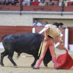 Los Barrios, domingo 19 de mayo de 2019