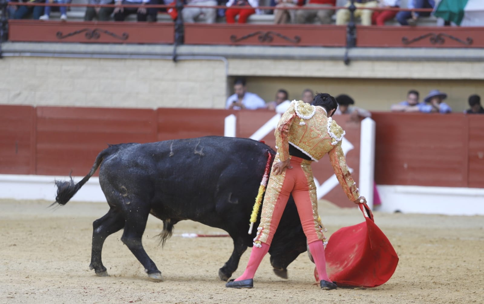 Los Barrios, domingo 19 de mayo de 2019