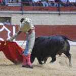 Los Barrios, domingo 19 de mayo de 2019