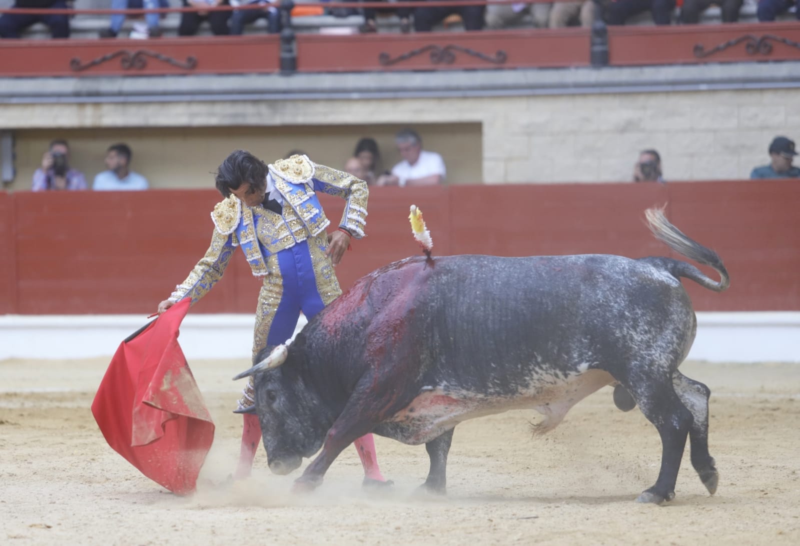 Los Barrios, domingo 19 de mayo de 2019