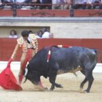 Los Barrios, domingo 19 de mayo de 2019