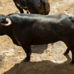 Madrid, sábado 18 de mayo de 2019