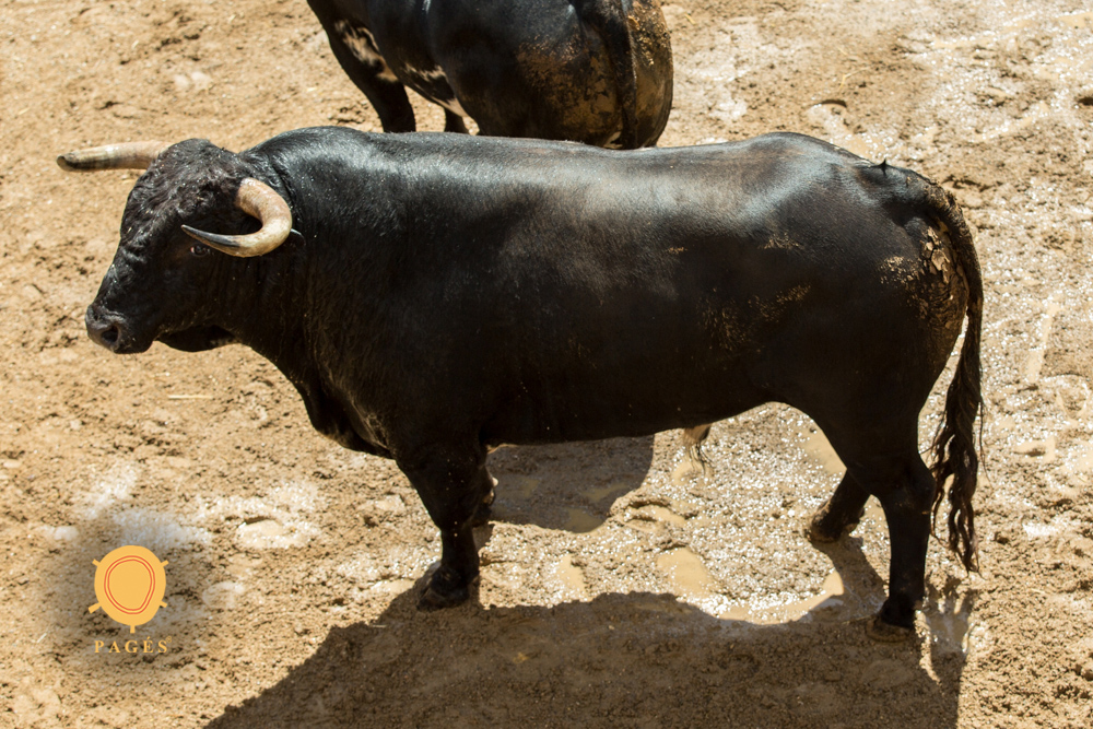 Madrid, sábado 18 de mayo de 2019