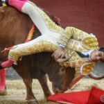 Madrid, sábado 18 de mayo de 2019