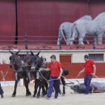 Los Barrios, domingo 19 de mayo de 2019