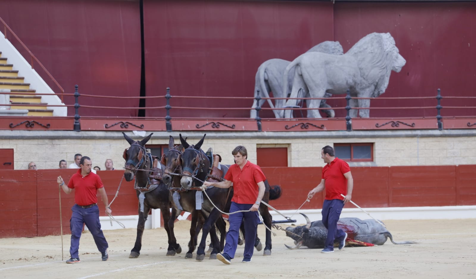 Los Barrios, domingo 19 de mayo de 2019