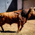 Sorteo. Madrid, sábado 25 de mayo de 2019