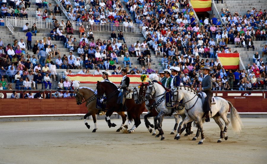 Madrid, domingo 26 de mayo de 2019