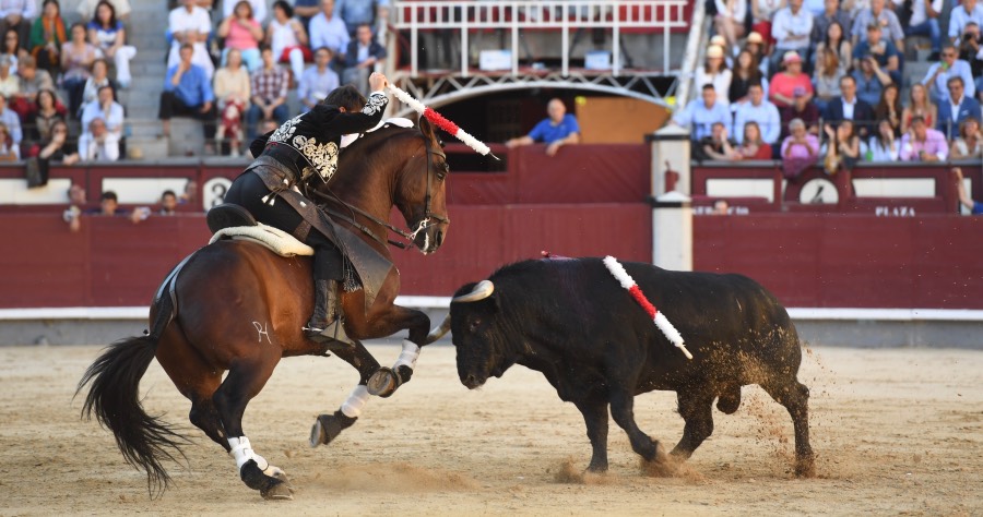 Madrid, domingo 26 de mayo de 2019